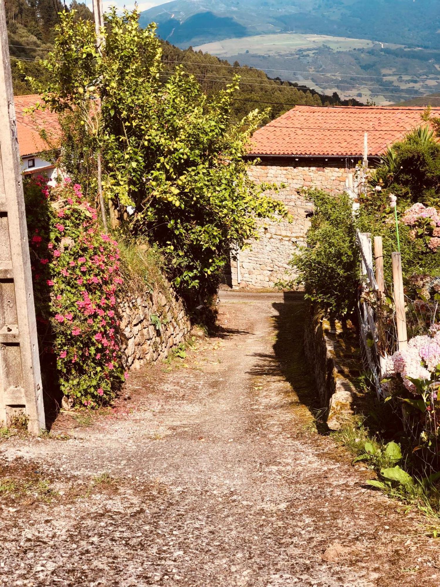 Maletas Del Pasiego * Quintana de Toranzo
